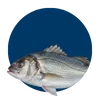 Peixaria